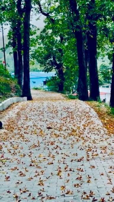 Cosmic Homes #River#Forest Dehradun Esterno foto